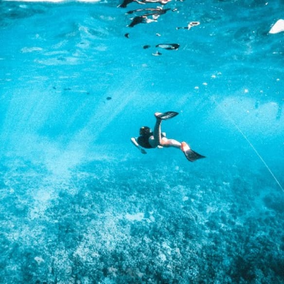 Snorkeling